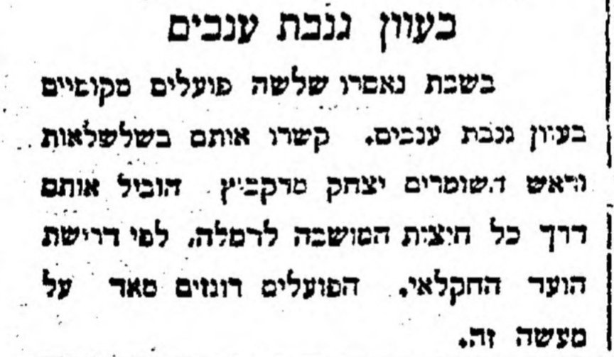 נתפסו גנבי ענבים!