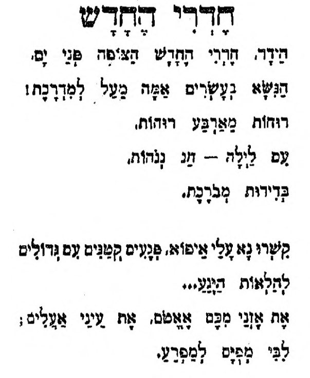 רחל