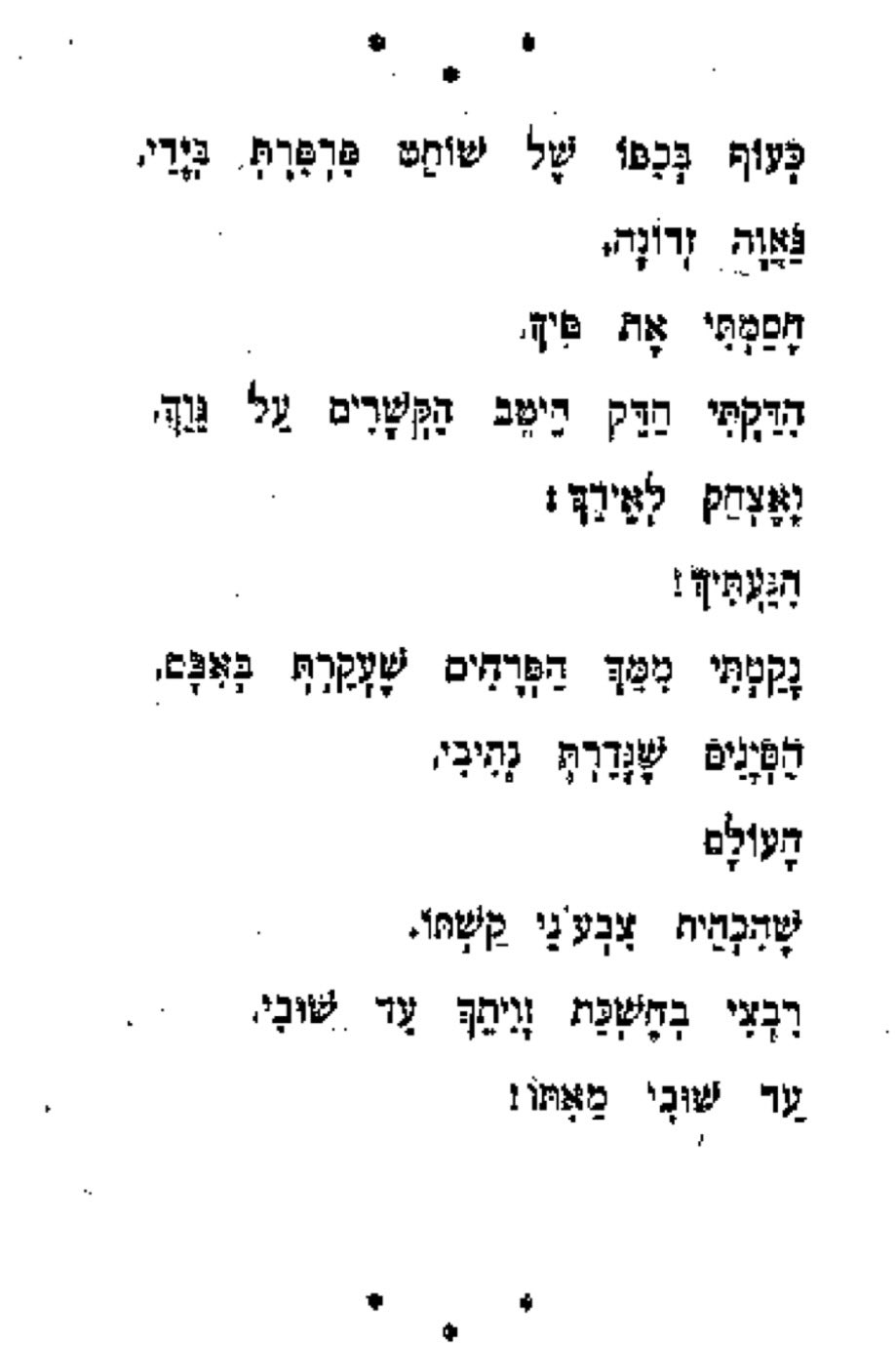 רחל
